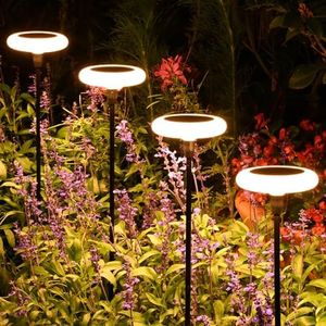 Luces Sola