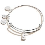 Alex and Ani Initial S III Bangle Bracelet Shiny Silver One Size