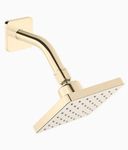 Kohler 22645IN-AF ABS Showerhead with Shower Arm, Vibrant French Finish (Gold)