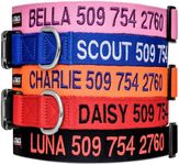 GoTags Personalized Dog Collar, Cus