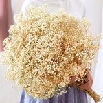 6000+ Dried-Babys-Breath-Flowers-Bouquet-17 inch Ivory White Flowers, Natural Gypsophila Branches for Wedding, DIY Home Party Decor, Table Vase Decor for Parents, Friend, Children (5.7oz)