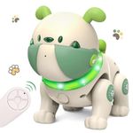 Kid Robot Dog