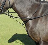 Windsor Leather Standing Martingale (Havana, Full)