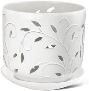 Orchid Pot