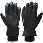 anqier Winter Gloves, Cold Proof Thermal Thinsulate Warm Touchscreen Cold Weather Gloves Men Women for Smartphone Texting Cycling (L)