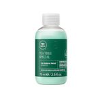 Tea Tree Special Shampoo, Deep Cleans, Refreshes Scalp, For All Hair Types, Especially Oily Hair