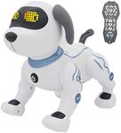 fisca Remote Control Dog, RC Roboti