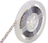 protium Single Color Day white (4000K) strip, 12V, IP20, 240 Led Per Meter (5 Meter)