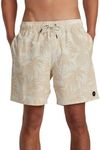 RVCA Men's Elastic Boardshorts, Natural, M