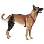 RISURRY Dog Knee Brace with Metal S