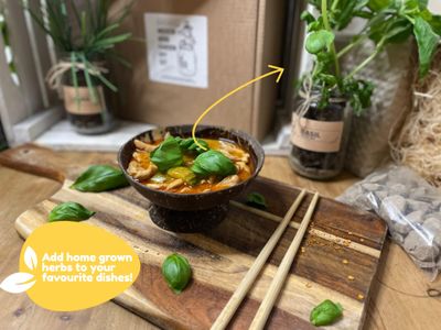 Indoor Herb Garden Jar Kit – 3-Pack Grow Set