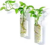 PACDONA 2 Pack Wall Hanging Planters Glass Terrariums - Cylindrical Plants Holders Air Plants Succulents Planters Flowers Glass Wall Vase Containers for Decor Indoor Garden