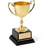 EIO Gifts Personalised Gold Cast Recognition Cup Trophy/Award, with Custom Engraving Ideal for Ceremonies or Competitions. - 7 Sizes To Choose From (9 1/4” (115mm))