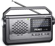 PRUNUS J-15 Portable Radio Mains an
