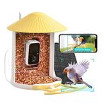 Netvue by Birdfy Smart Bird Feeder with Camera, Auto-Identify, Notify, Record Bird Videos, Get Monthly Bird Feeding Recap, Bird Watching Camera, Bird Box Camera, Gifts for Mom Dad