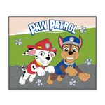 Paw Patrol Nap Mat