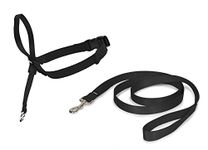 Petsafe Easy Walk Headcollar – No-Pull Dog Collar – Includes Leash – Perfect for Leash & Harness Training – Stops Pets from Pulling and Choking on Walks – Small, Black (EW-HC-S-BK-17)