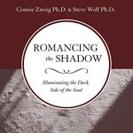 Romancing the Shadow: Illuminating the Dark Side of the Soul