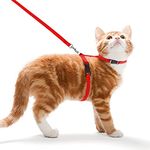 RvPaws Cat Harness Leash Nylon Set for Cat Rabbit Kitten and Small Pet Nylon Harness Strap Collar/Cat Training Leash Lead