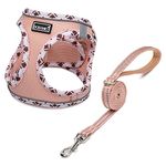 DORAMIO Step-in Dog Harness and Leash Set, Soft Mesh No-Chock Reflective Breathable Easy Walk Lightweight Vest Harnesses with Safety Buckle for Small Medium Dogs, Cats, Puppies (Champagne, S)