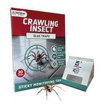 ENTOEND Crawling Insect Glue Traps | Pack of 30 | Sticky Indoor Spider Catcher | Easy to Use Adhesive Paper Trap to Catch Spiders, Bedbugs, Carpet Beetles, Silverfish, Cockroaches and Other Insects