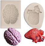 Human Heart Fondant Mold, Silicone Molds for Halloween Anatomical Brain & Heart, Can Baking Cake Cupcake Decoration Pudding Jelly Chocolate Candy Biscuit Polymer Clay Resin