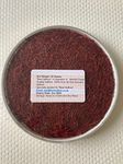 "Best Saffron"®; a Selection of The Finest Royal Saffron; 100% Pure All Red Genuine Saffron (25 grams)