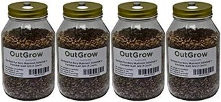 Sterilized Rye Berry Mushroom Substrate in Injectable Quart Jars