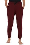 Allen Solly Women's Regular Casual Pants (AHKBCRGPL89425_Wine_26)