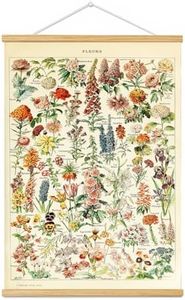 Vintage Flowers Poster Hanger Frame, Plant Floral Reference Chart Wall Decor Cottagecore Room Decor Aesthetic, Retro Style Wall Decor Art Painting Prints 16 * 24in