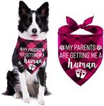 STMK Plaid Dog Bandana, Pink, My Pa