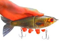 7" Pedigree Glider Glide Bait Swimbait Musky Striper Bass Fishing Lure Big Multi Jointed Shad Trout Slow Sinking (7" Pedigree Glider - Gizzard SHAD)