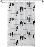 SKL Home by Saturday Knight Ltd. Birds on a Wire Shower Curtain, Black