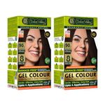 INDUS VALLEY Damage Free Natural Gel HairColor for Women|Ammonia & PPD Free Organic HairColor with 100% Grey Coverage, Long Lasting Conditioning Hair Color|Dark Brown 3.00-Pack of 2(2x220 = 440 ml)