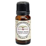 All Naturals Champa Absolute Essential Oil (Kerala) 100% Pure, Deep Floral Exotic Aroma for Natural Perfumes, Massage Oils, Attars, DIY Skincare & Diffusers - 10 mL | n-Hexane Extracted, Alcohol-free