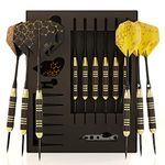 CC-Exquisite Professional Steel Tip Darts Set - 6 x 22g Brass Barrels with 12 Flights Standard/Slim, 12 Aluminum Shafts 35/48mm, 12 O-Rings, Dart Tool, Dart Sharpener and Case (Black & Gold)