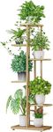 Brown Art Shoppee Plant Stand Indoor Outdoor Plant Stand, 6 Layers Iron Flower Stand Pots Tray Plant Shelves Planter Display Rack Storage Holder Shelf Home Balcony Garden Decoration (Gold)