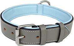 (Large, Grey/Light Blue Padding) - Soft Touch Collars - Luxury Real Leather Padded Dog Collar - The Capri Collection -