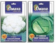 Indica Super Cauliflower and Cabbage Combo for AUG to NOV Season in All Area Sowing 50SEEDS Each Hybrid Combo Brand Omaxe Sold by Super Agri Green