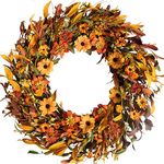 CIR OASES Fall Front Door Wreath,24” Artificial Floral Wreath with Colorful Daisies and Fall Orange Wreath for Front Door Wall Window and Thanksgiving Decor