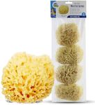 Baby Buddy Natural Wool Sea Sponge, Newborn Bath Time Essential, Ultra Soft for Delicate Skin, Hypoallergenic and Biodegradable, 4 Pack