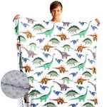 Baby Boy Blanket Breathable Fuzzy Toddler Throw Blankets Minky Soft Nursery New Born Baby Girls Double Layer Blanket with Dotted Backing for Baby Shower Birthday Gift 30 x 40 Inch (Dinosaur, 1)