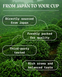 NaturaleBio Organic Japanese Matcha Green Tea Powder, Culinary Grade, 100g – Uji Kyoto