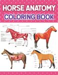 Horse Anatomy Coloring Book: Horse Anatomy Student's Self-Test Coloring & Activity Book. Introduction to Veterinary Anatomy and Physiology Workbook. Kids relax design for students. younger kids for learn anatomy of Horse.