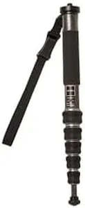 Gitzo GM25
