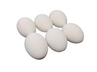 Brillante Ceramic Chicken Nesting Eggs (White) - Fake Training Eggs for Laying Chickens Hen Nest Boxes & Home Decoration - 6 Pack