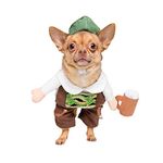 Pet Krewe Small German Oktoberfest Dog Costume - Barktoberfest Halloween Dog Costume - Perfect for Christmas Holiday, Halloween, Parties, Photoshoots, Gifts for Dog Lovers