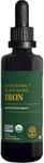 Global Healing Center Iron Supplement for Women and Men - Blood Builder Liquid Iron Vitamin with Curry Plant Extract - Natural Energy to Combat Fatigue, Brain Health & Oxygen Level Support (2 Oz)