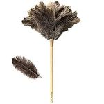 Feather Duster for Home, Feather Du