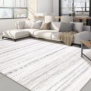 Area Rug L